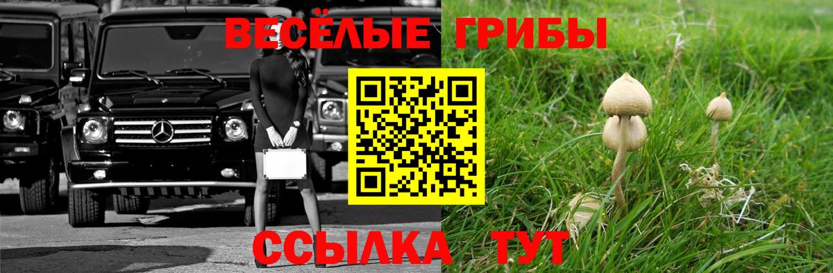 Галлюциногенные грибы Psilocybe  Галлюциногенные грибы мухоморы  Качканар  Вход с VPN 